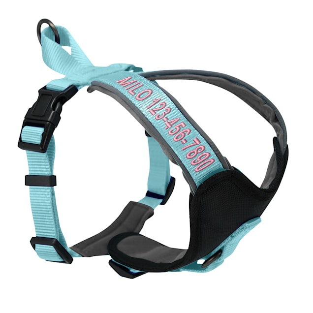 Pawtitas Teal Personalized Padded Dog Harness Small