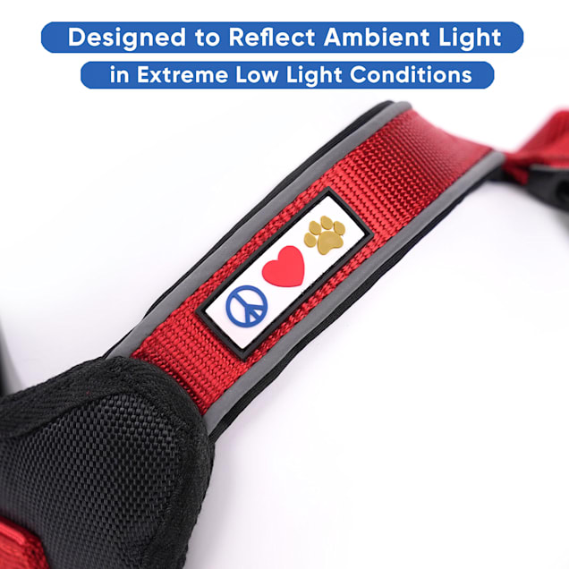 Pawtitas Red Padded Personalized Harness for Small Dogs