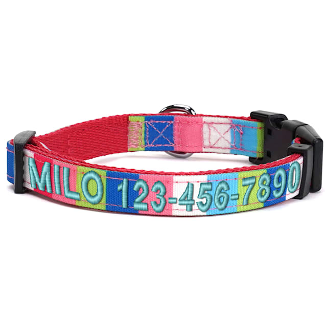 Pawtitas Pink Teal White Green Multicolor Personalized Dog Collar