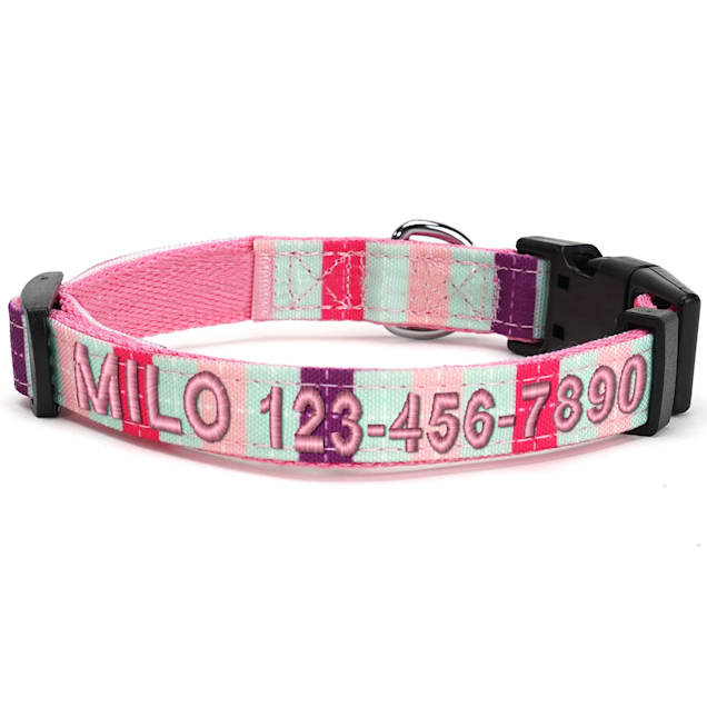 Petco personalized sale dog collars