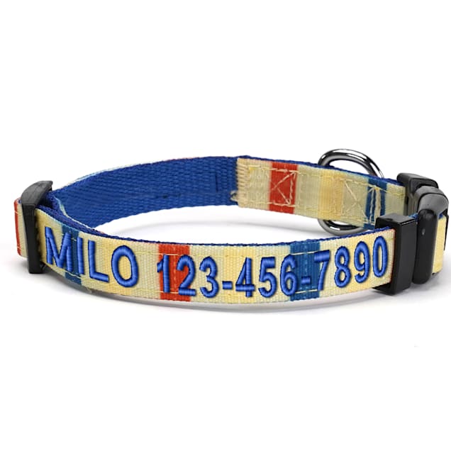 Pawtitas Yellow Orange Blue Multicolor Personalized Dog Collar X Small