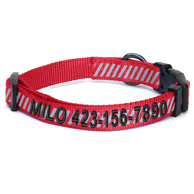 Hi vis dog collar discount
