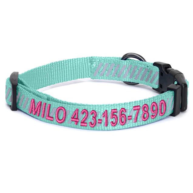 Pawtitas Teal Personalized Reflective Traffic Dog Collar X Small