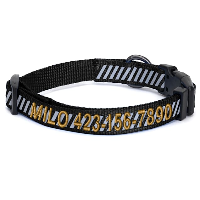 Petco personalized shop dog collars