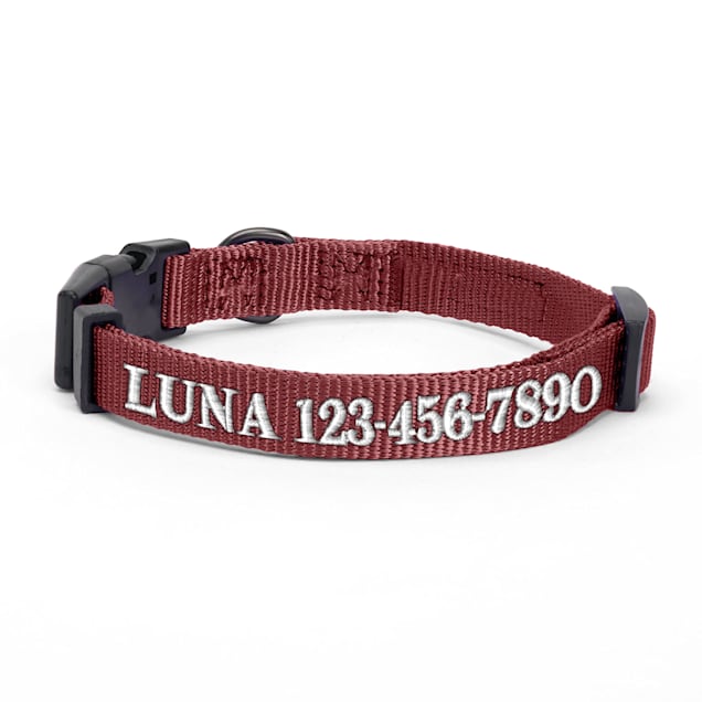 Petco electric outlet dog collar