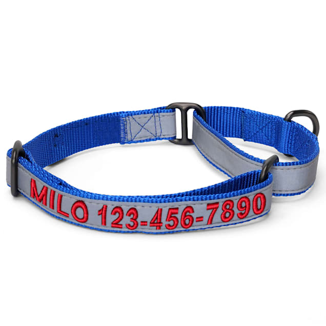 Personalized reflective best sale martingale dog collars