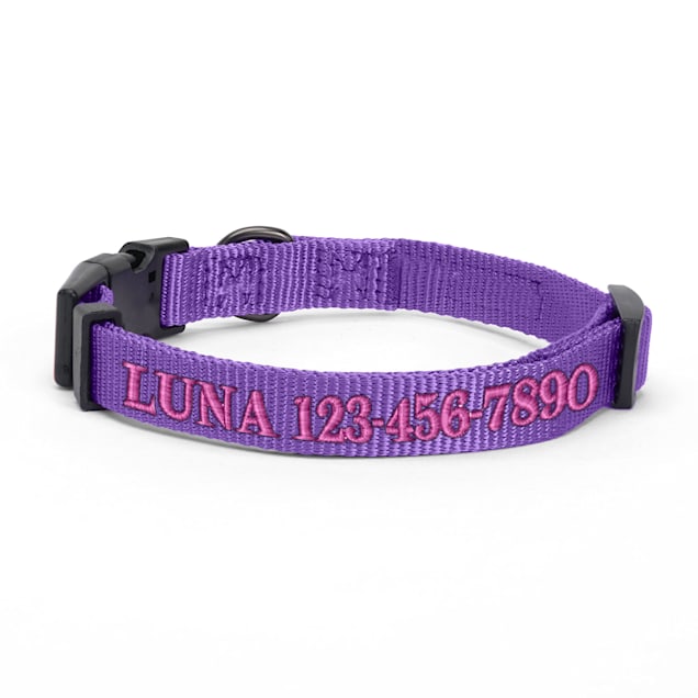 Petco electric outlet dog collar