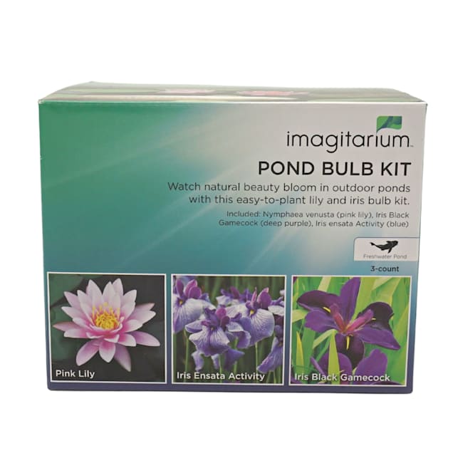 Pond Bulb Kit Petco