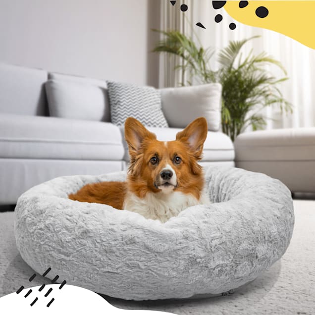 Best bed for corgi sales