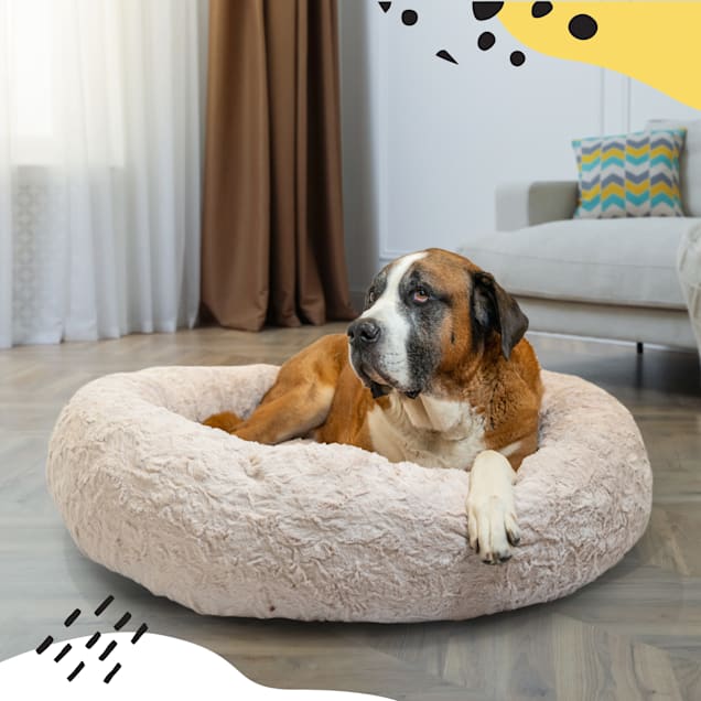 Sheri calming hotsell dog bed