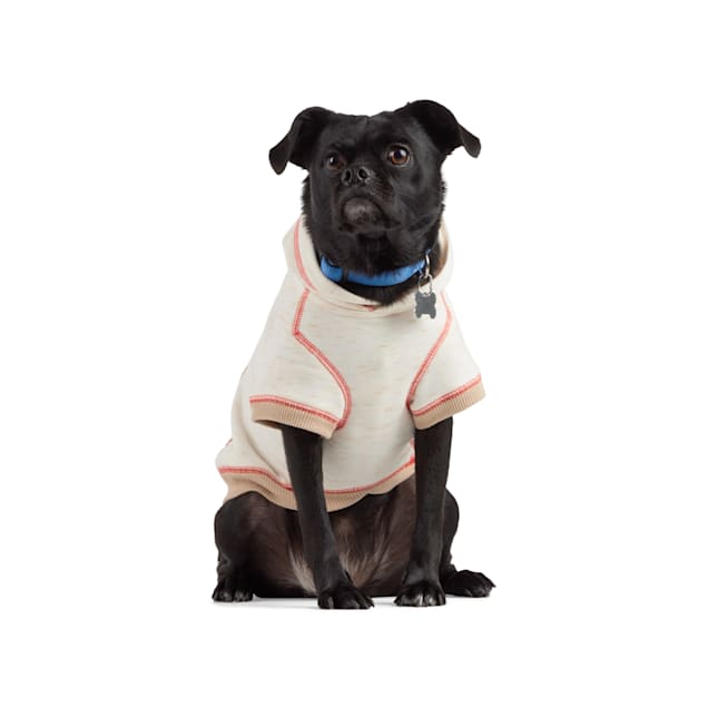 Petco dog apparel new arrivals