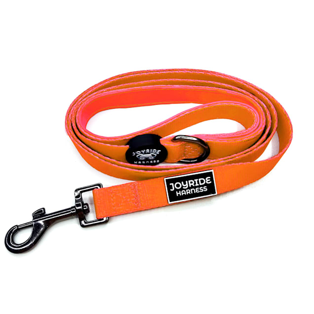 Dog leash seat online belt petco