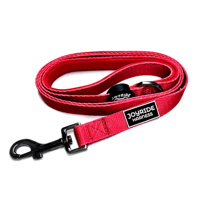 Matching harness and leash for dogs cheap