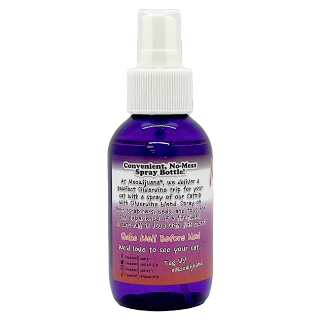 Catnip outlet spray petco