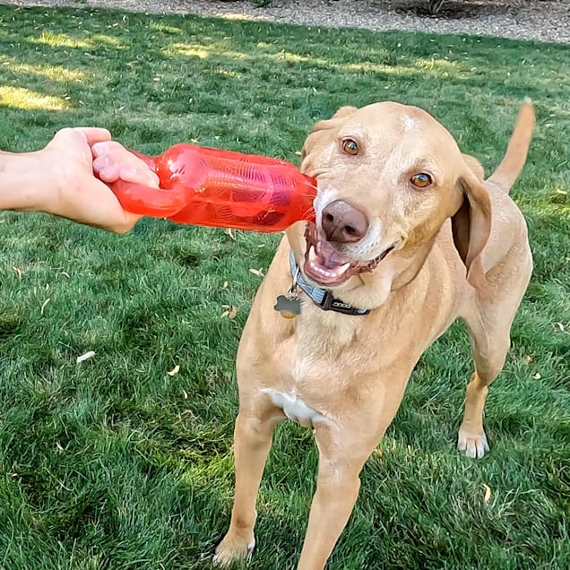 Jumbler dog toy new arrivals