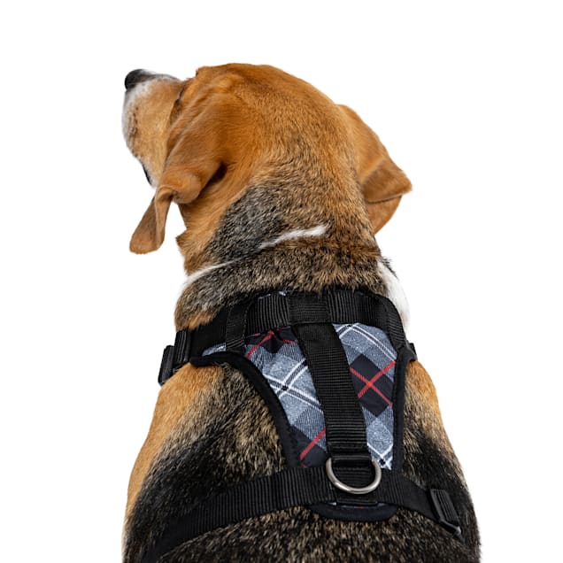 Canada pooch everything harness review sales