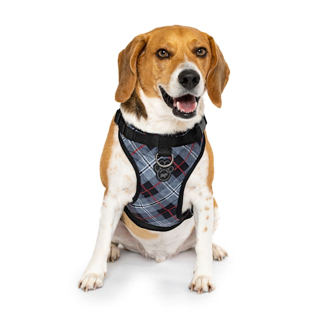 Canada pooch 2025 no pull harness