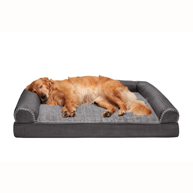 Petco xl dog bed discount
