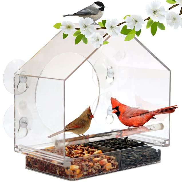 Petco wild bird feeders 2025