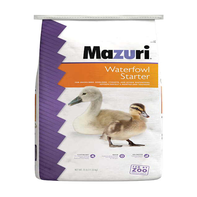 Petco mazuri new arrivals