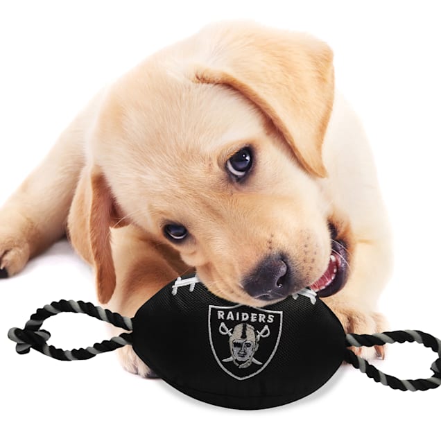 Oakland Raiders Nylon Dog Toy