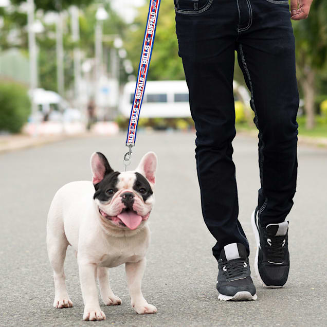Buffalo bills dog harness online