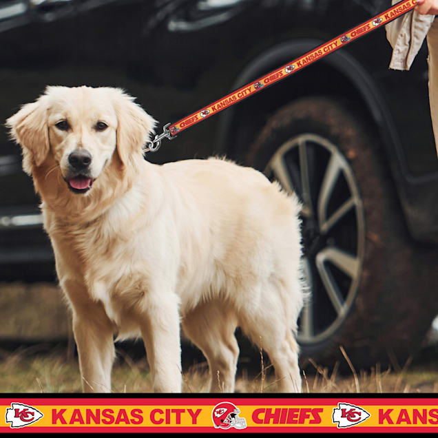 Chiefs dog best sale harness