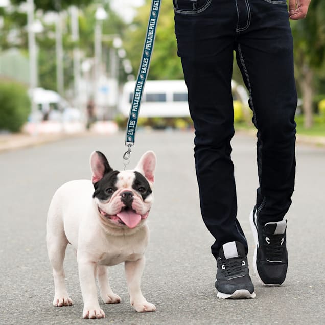Philadelphia eagles hot sale dog harness