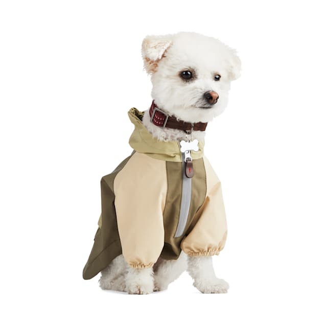 Reddy dog windbreaker sale