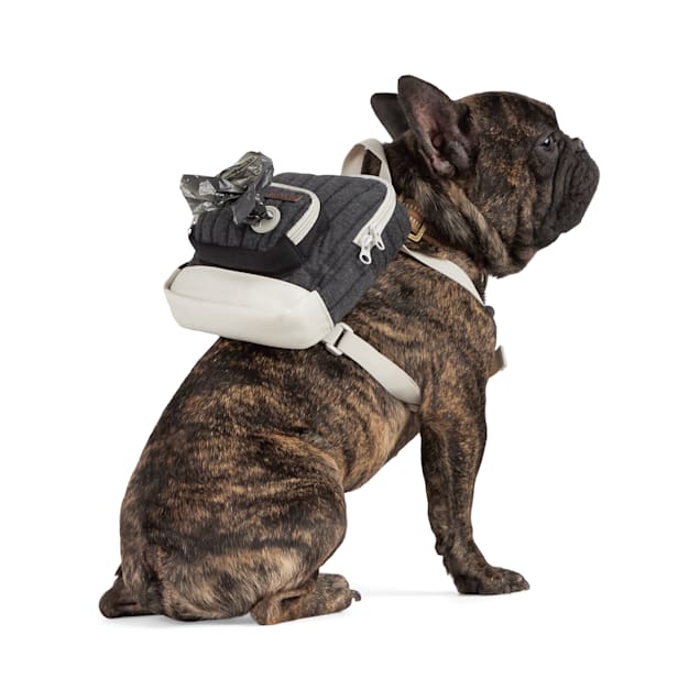 Reddy Quilted Dog Backpack Gray X Small Small Petco