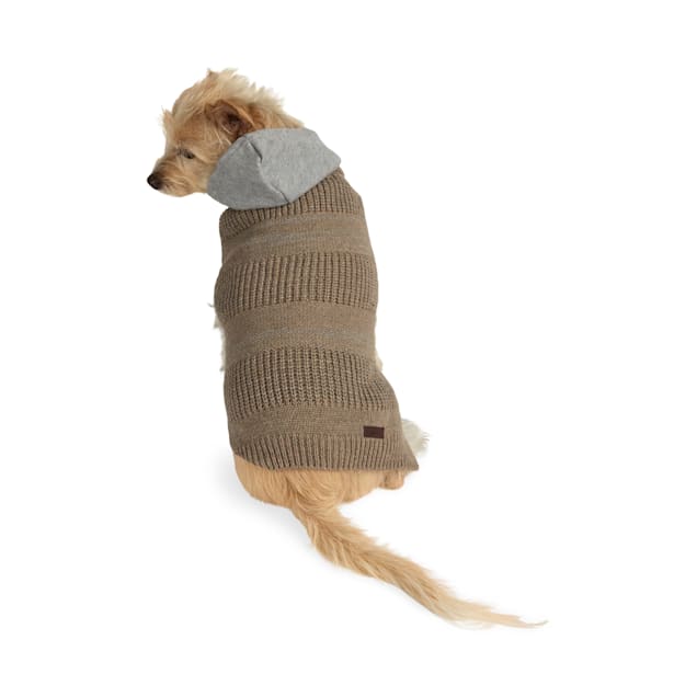 Reddy Textured Hooded Dog Sweater, Tan, Large Petco