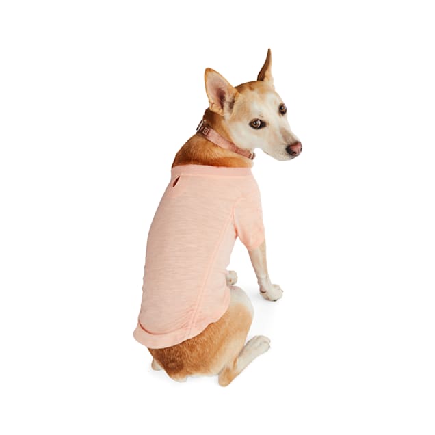Bow ties for dogs petco outlet