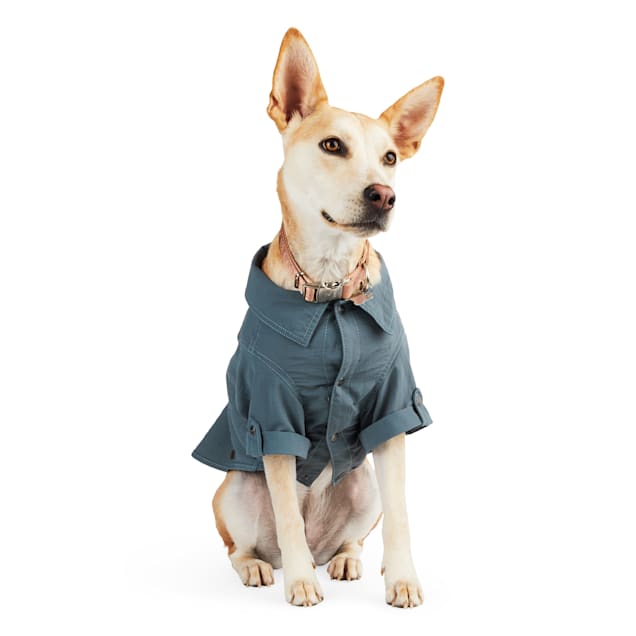 Reddy dog sale shirt
