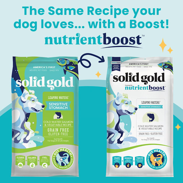 Solid Gold Nutrientboost Hund-N-Flocken Lamb Dry Dog Food, 3.75 lbs.