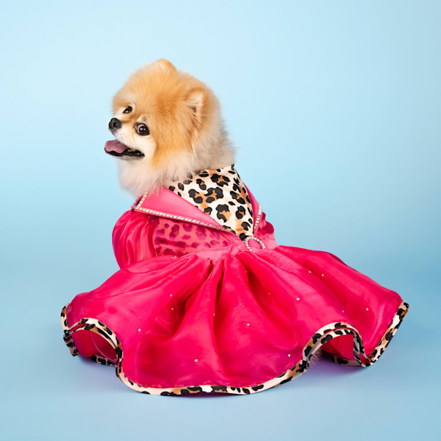Petco dresses best sale