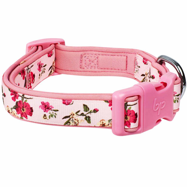 Pink Peony Comfort Suede Collar: dog collars