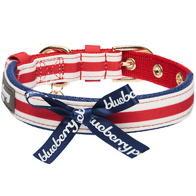 Blueberry collars deals
