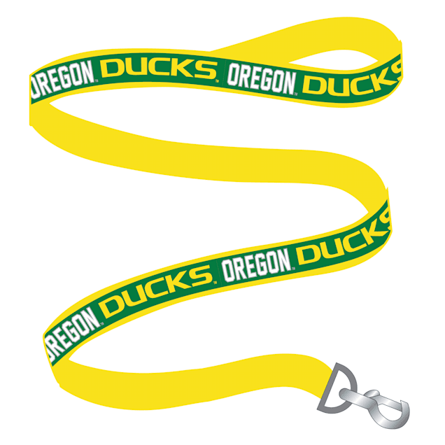 Pets First Oregon Satin Dog Leash, 0.5 ft., Small - Carousel image #1