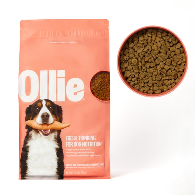 Ollie Baked Beef Dish with Sweet Potatoes Dry Dog Food 5 lbs