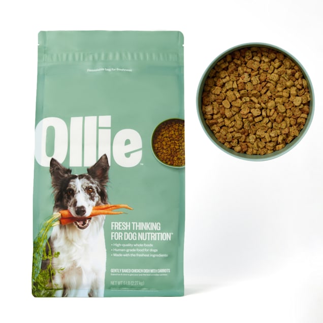 Ollie Baked Chicken Dish with Carrots Dry Dog Food 5 lbs. Petco