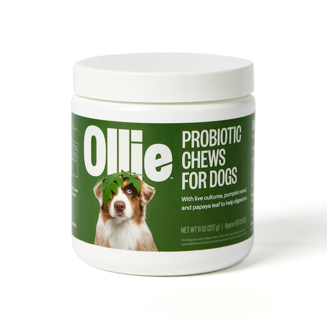 Probiotics for dogs on clearance antibiotics