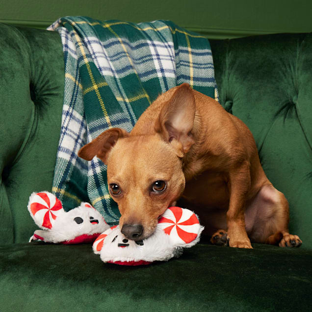 BARK Peppermice Slippies Christmas Mouse Slippers Plush Dog Toy
