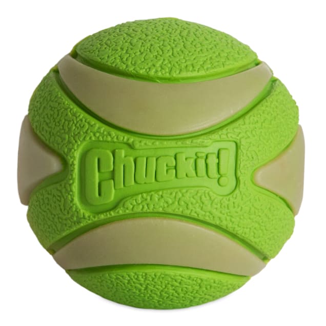 Chuckit squeaker shop ball medium