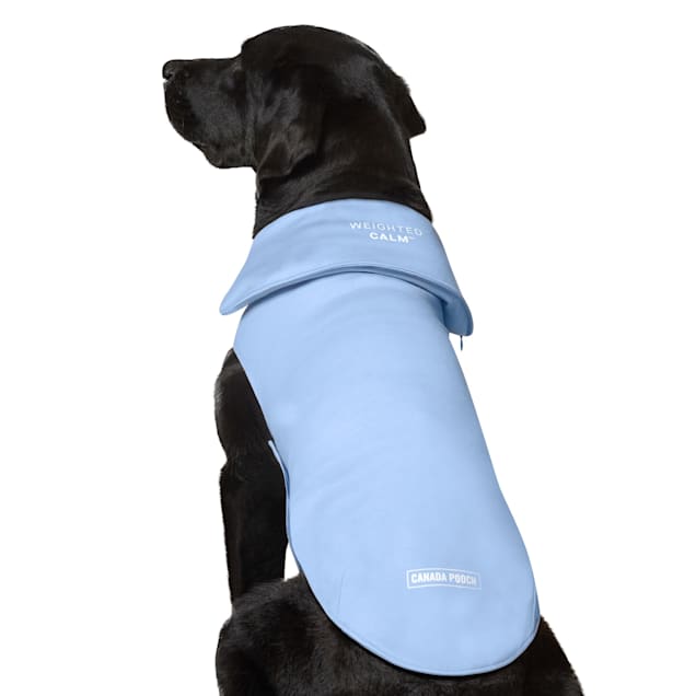 Weighted dog vest for anxiety cheap