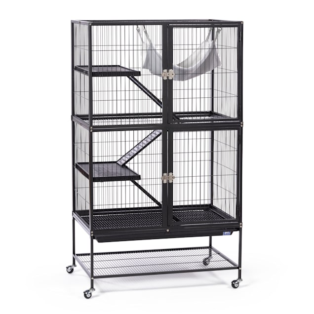 Ferret supplies near me discount