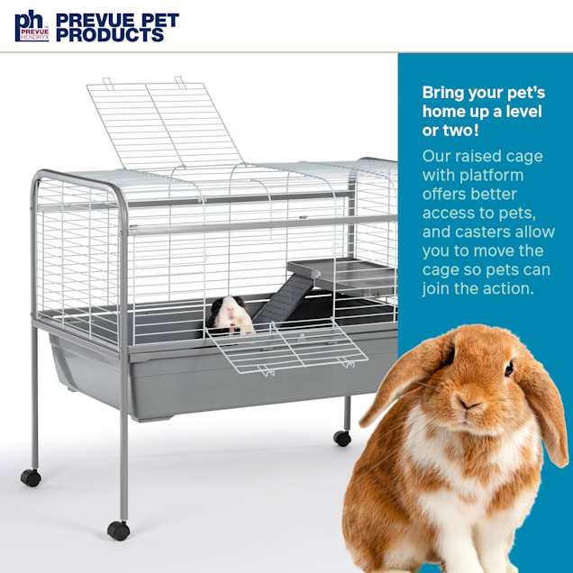 Petco bunny cage new arrivals