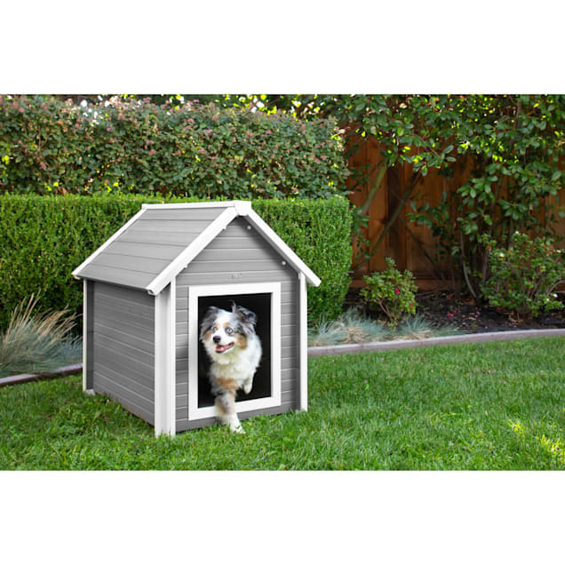 Ecoflex top bunkhouse kennel