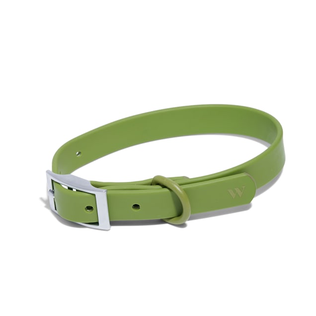 Wild one dog collar shop
