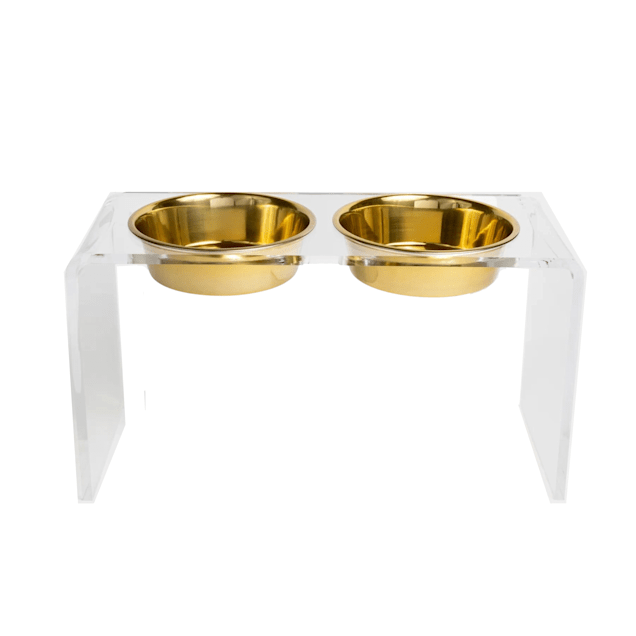 Petco elevated dog bowls store