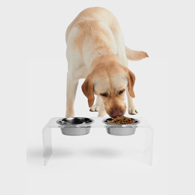 Hiddin Medium Clear Double Bowl Pet Feeder in Silver 3.5 Cups Petco